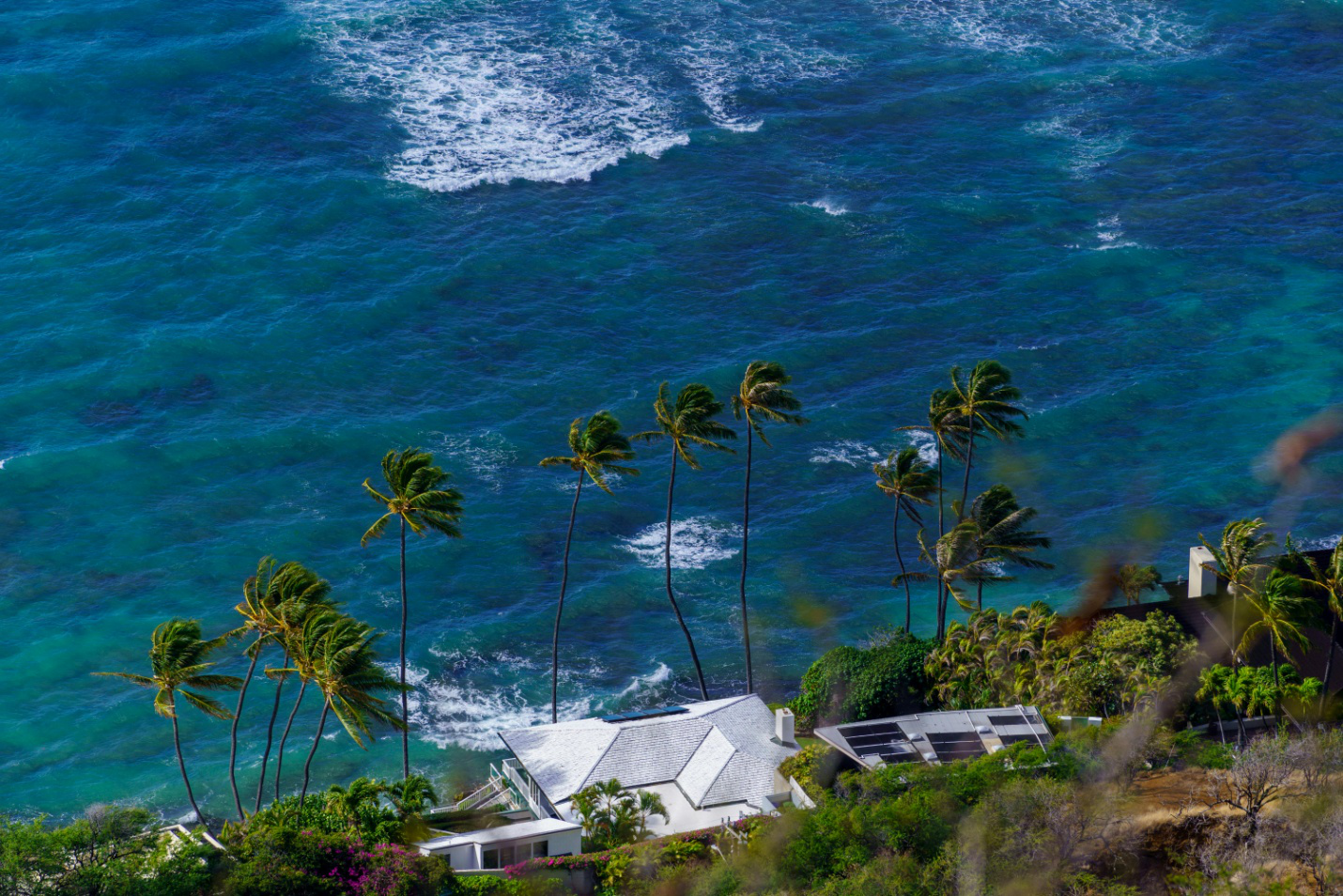 investing in luxury real estate in Palm Beach Gardens