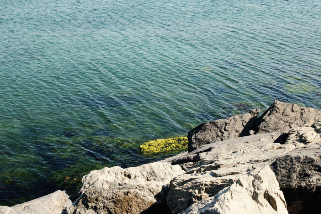 Buying a home near the Boynton Beach shoreline with ocean views