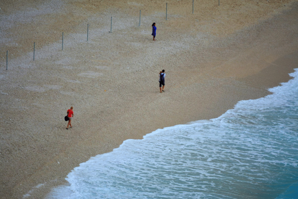 attractions in Palm Beach Gardens